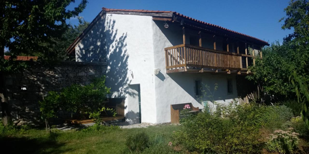 Apartmaji Hedera Komen Bagian luar foto