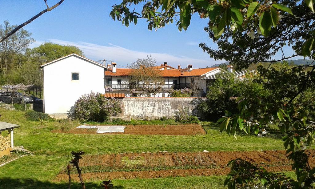 Apartmaji Hedera Komen Bagian luar foto