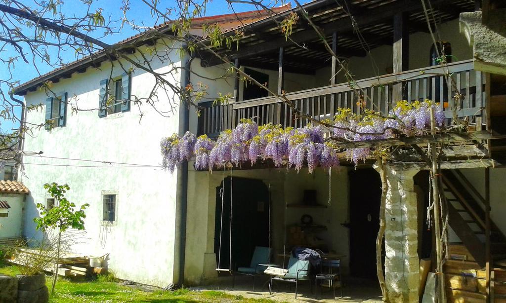 Apartmaji Hedera Komen Bagian luar foto
